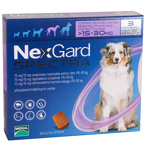 NEXGARD SPECTRA ยาเม็ดชนิดเคี้ยว ป้องกันเห็บหมัด สำหรับสุนัข น้ำหนัก 15-30 KG.