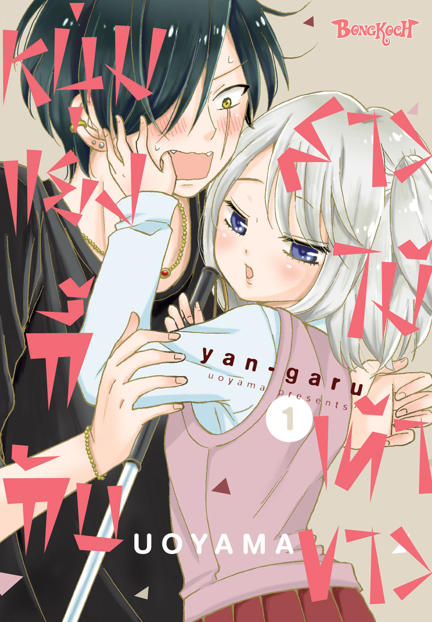 หนังสือการ์ตูนเรื่อง หนุ่มแยงกี้กับสาวไม้เท้าขาว เล่ม 1