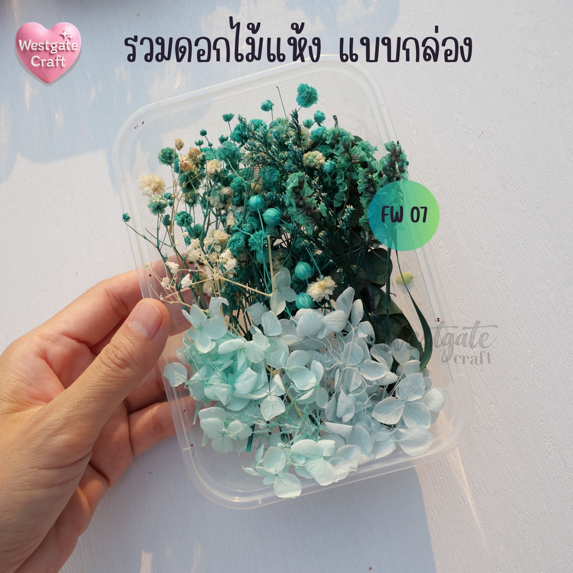 รวมดอกไม้แห้ง แบบกล่อง คละขนาด FW 01-09 , ดอกไม้แห้งจริง