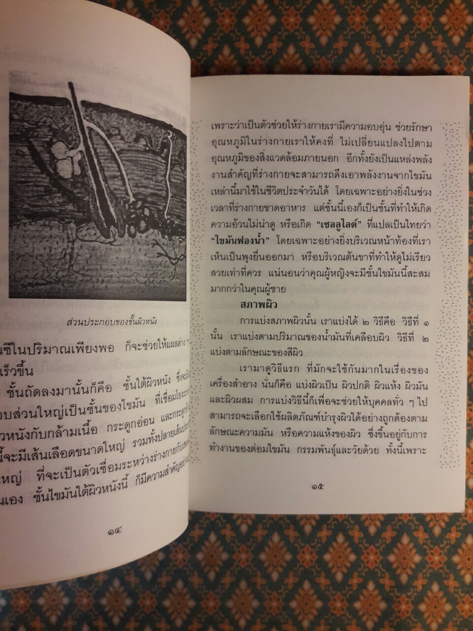 การดูแลผิวหน้าในวัยสาว