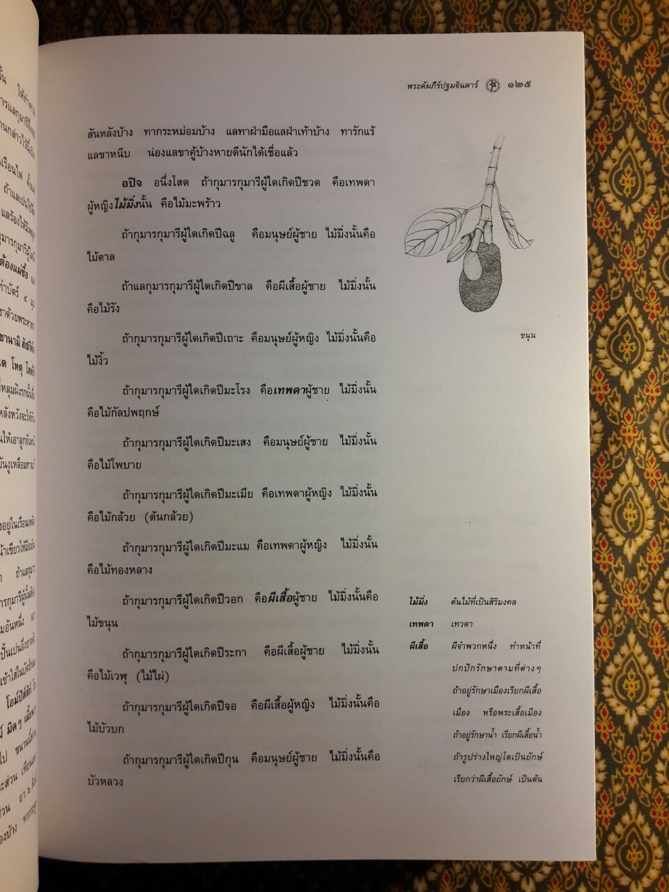 แพทย์ศาสตร์สงเคราะห์ ภูมิปัญญาทางการแพทย์และมรดกทางวรรณกรรมของชาติ