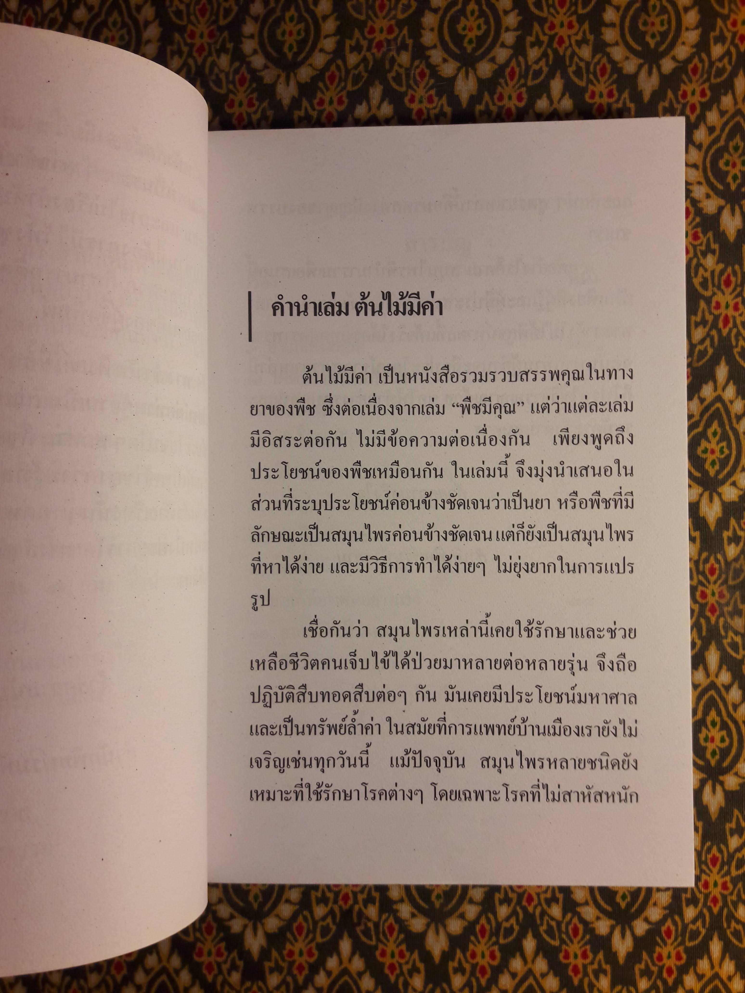 ขุมทรัพย์เมืองไทย ตอนต้นไม้มีค่า