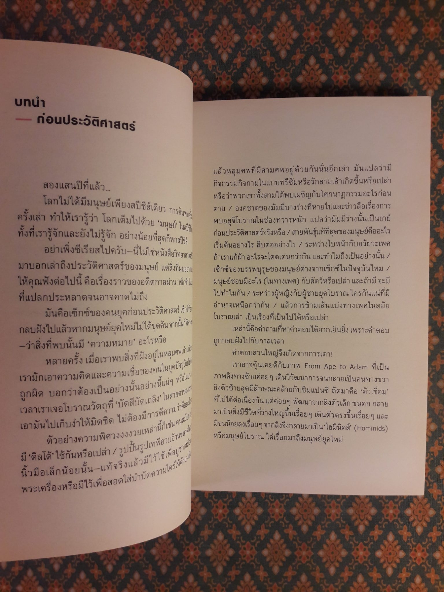 EARLY DESIRE ประวัติศาสตร์ใต้สะดือ