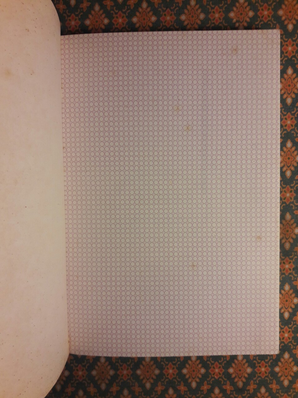 นักดนตรีตาบอด The Blind Musician