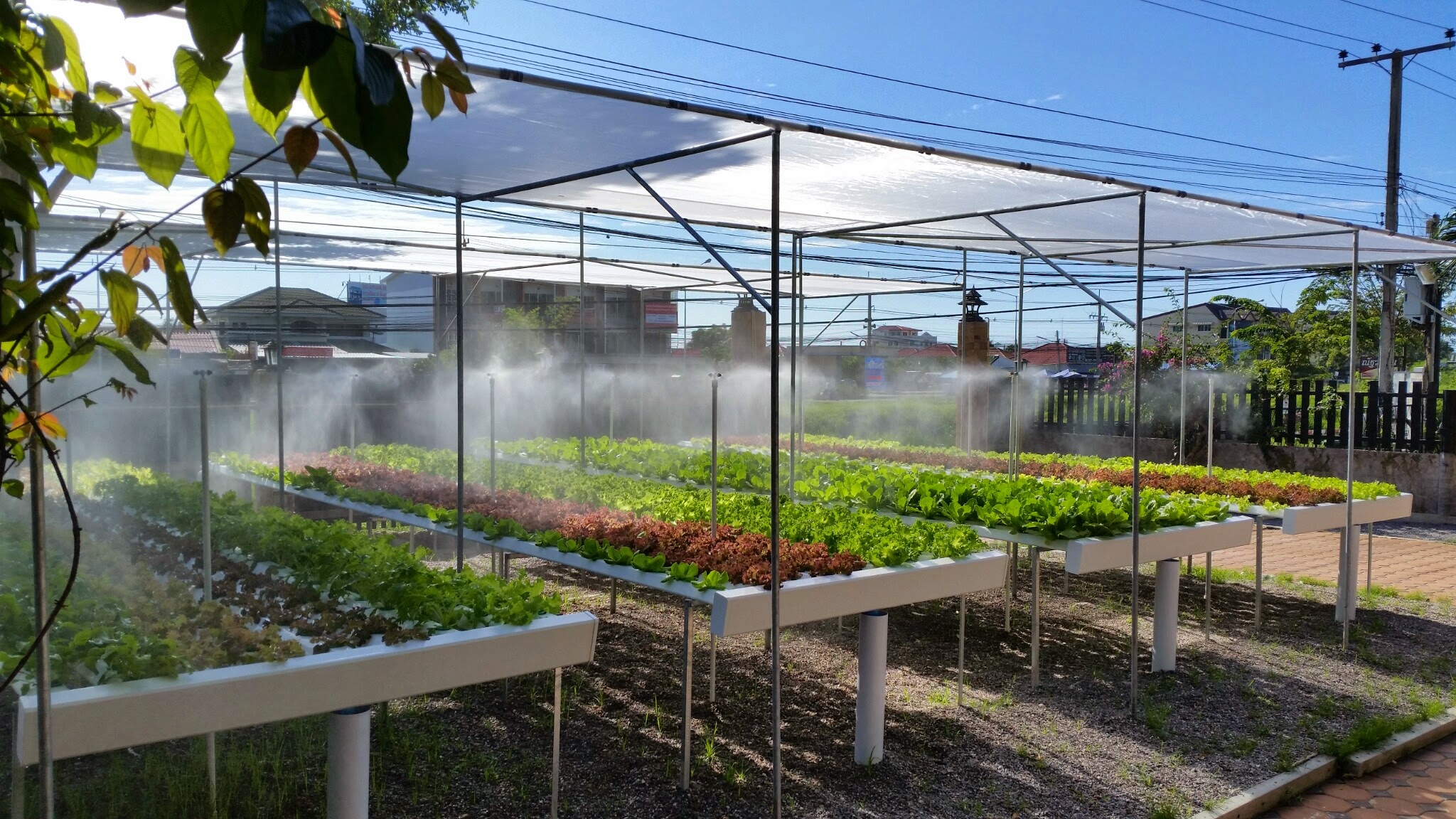 ร้านอาหาร A7 หัวหิน