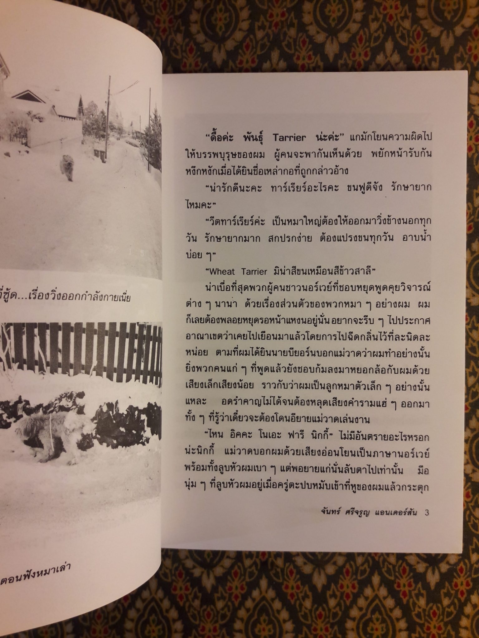 แม่วาดเมียบียอร์น ตอนฟังหมาเล่า