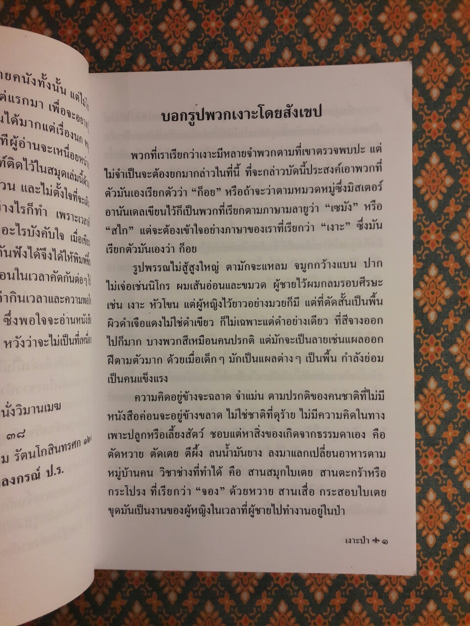 เงาะป่า