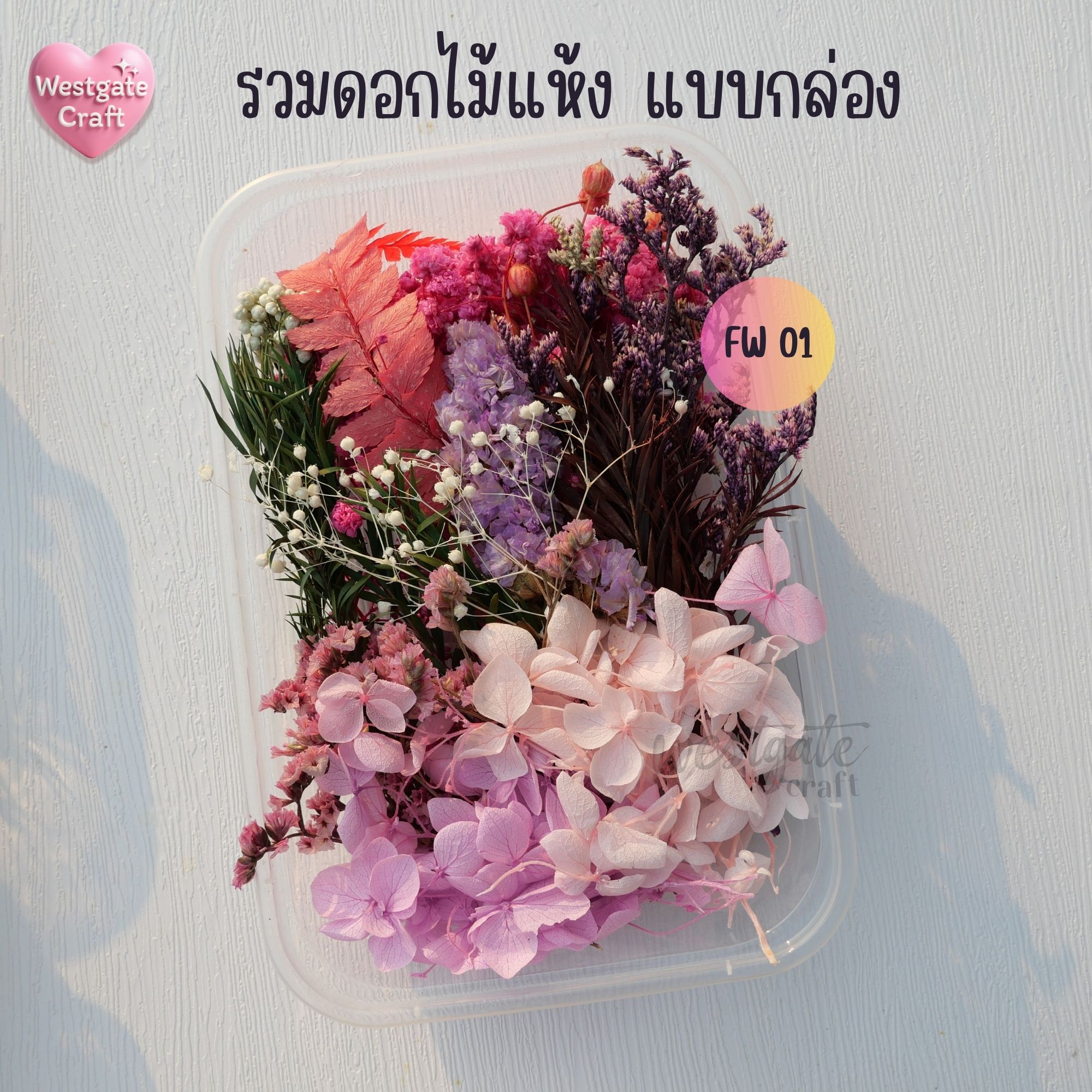 รวมดอกไม้แห้ง แบบกล่อง คละขนาด FW 01-09 , ดอกไม้แห้งจริง