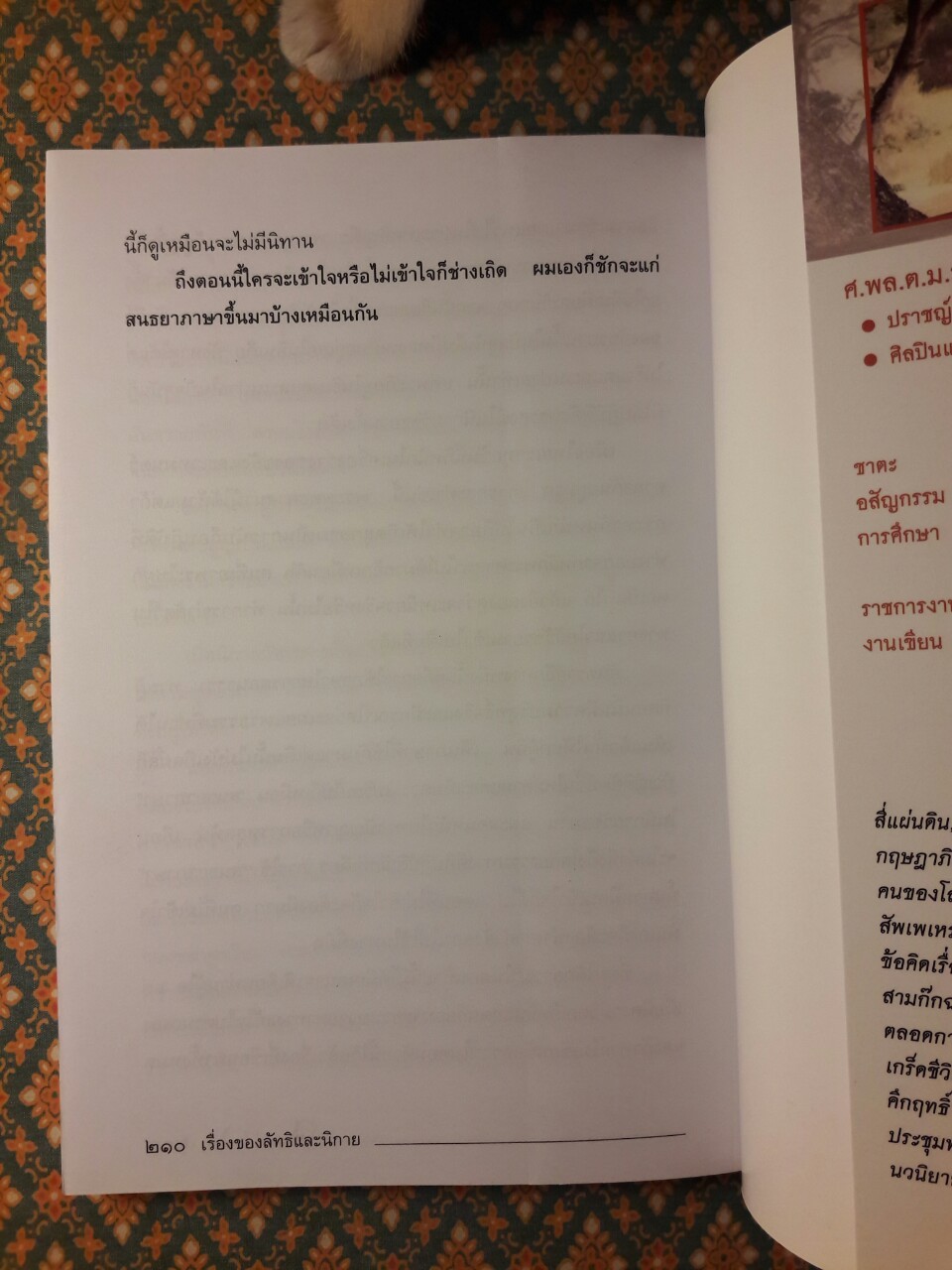 เรื่องของลัทธิและนิกาย