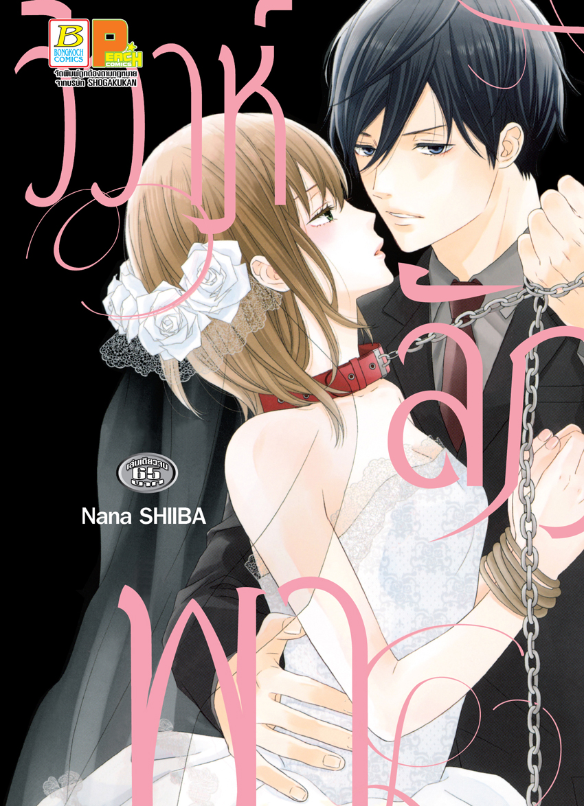 วิวาห์ลักพา (เล่มเดียวจบ)