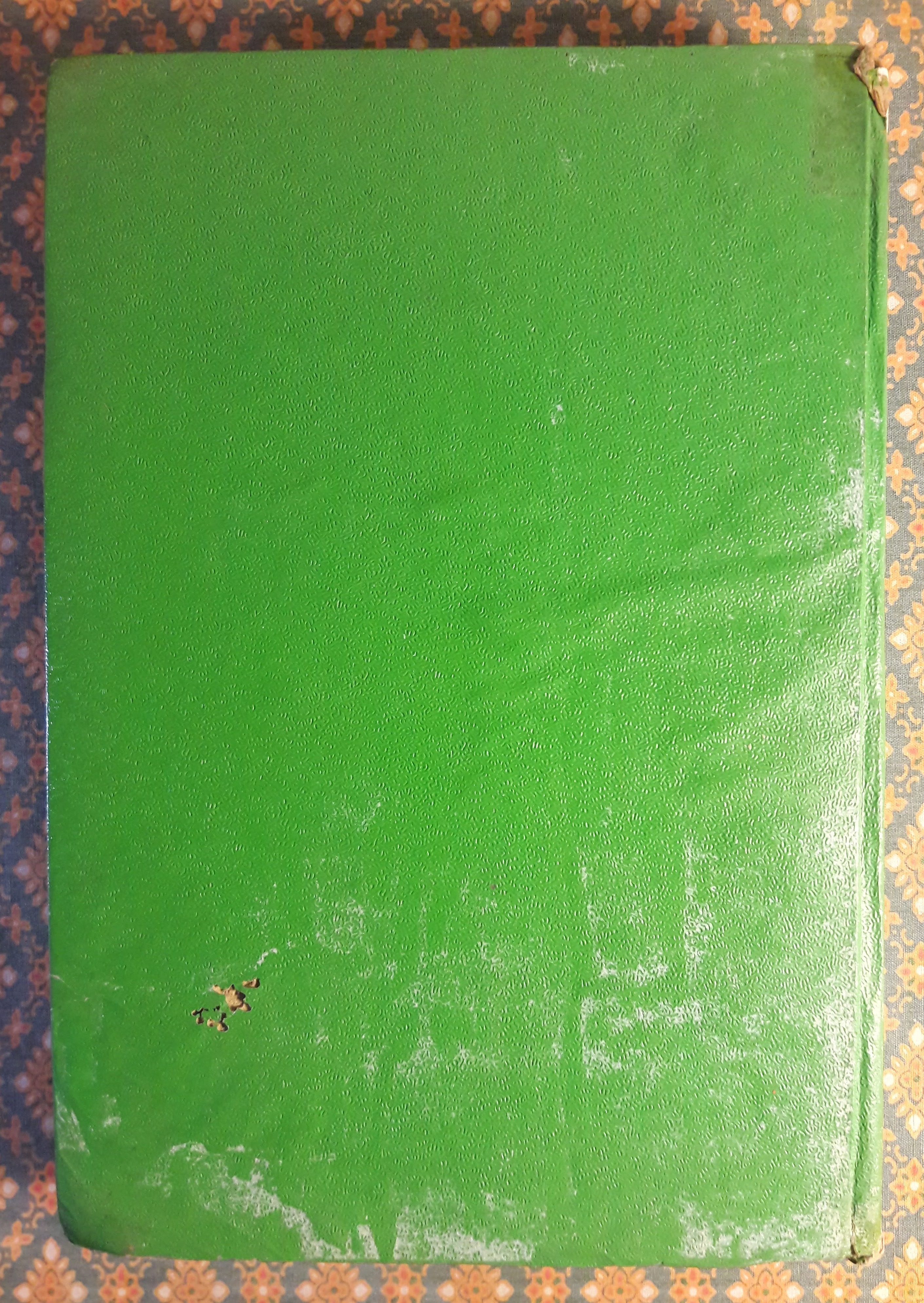 สงครามผิว