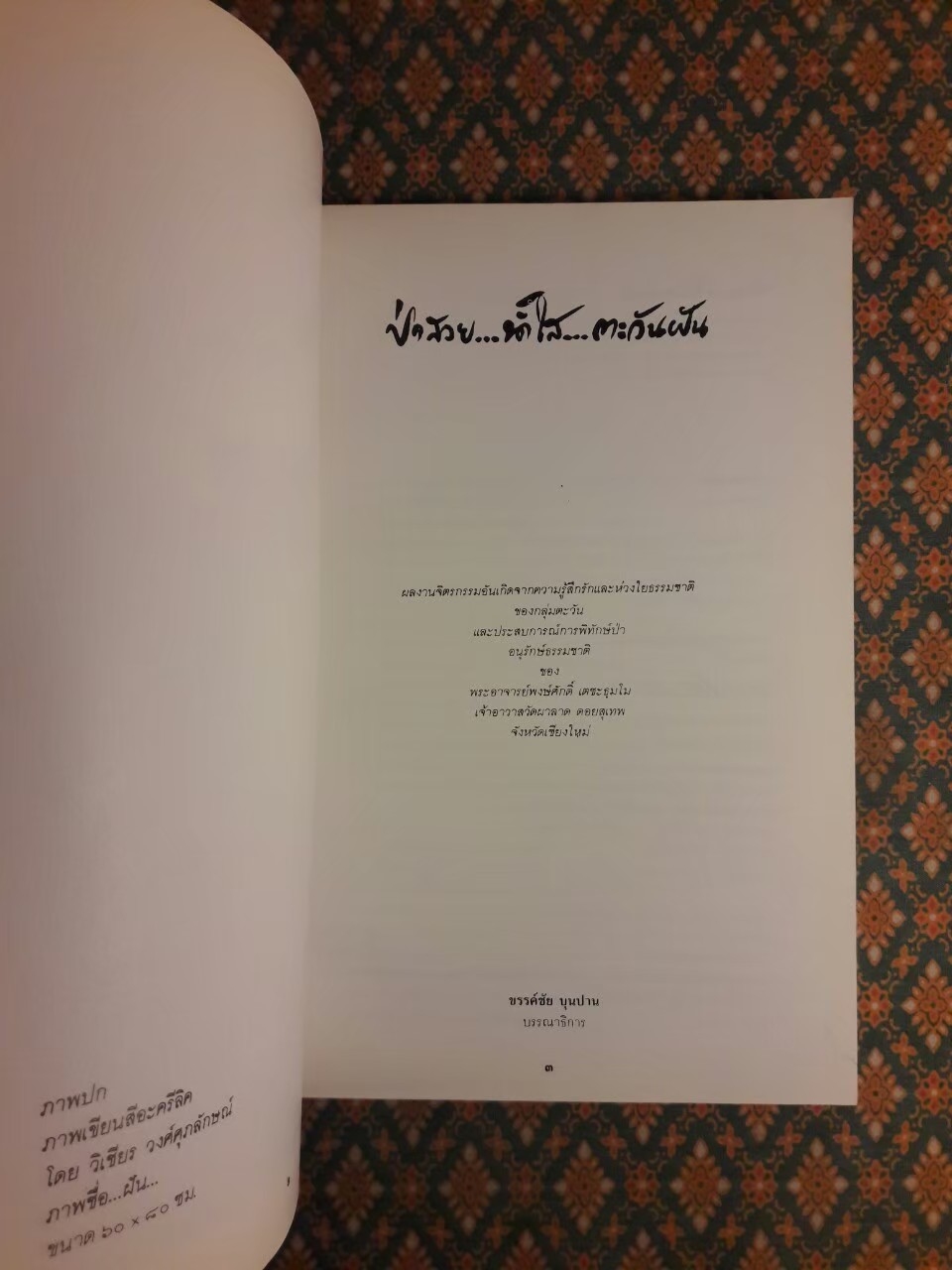 ป่าสวย น้ำใส ตะวันฝัน