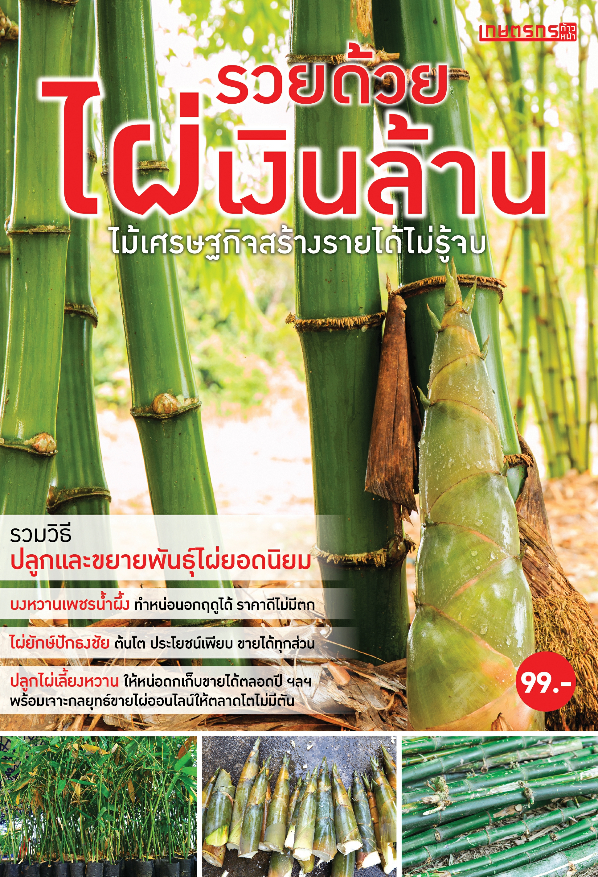 รวยด้วยไผ่เงินล้าน