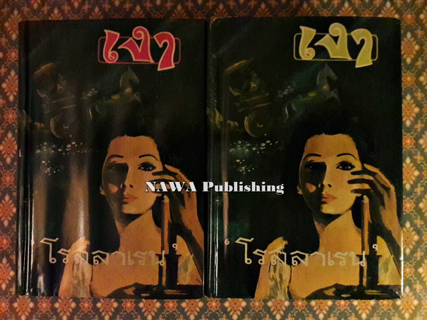 เงา (2 เล่มจบ)