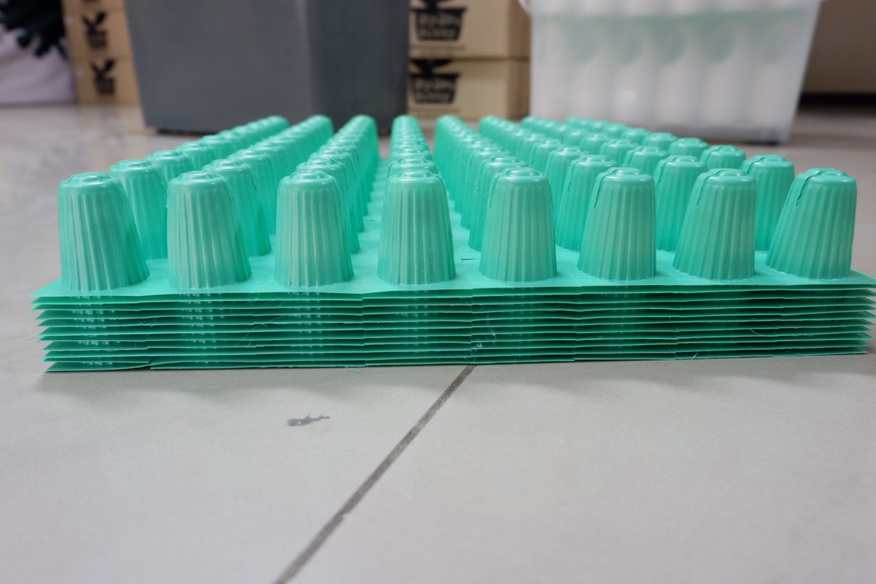 ถ้วยเพาะเขียว 80 หลุม