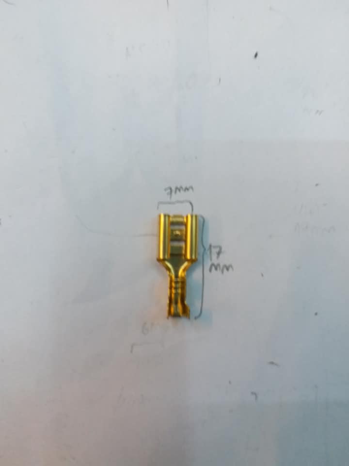 หางปลาทองเหลืองตัวเมียขนาด7x17MM,หางปลาตัวเมียทองเหลืองราคาตัวล่ะ