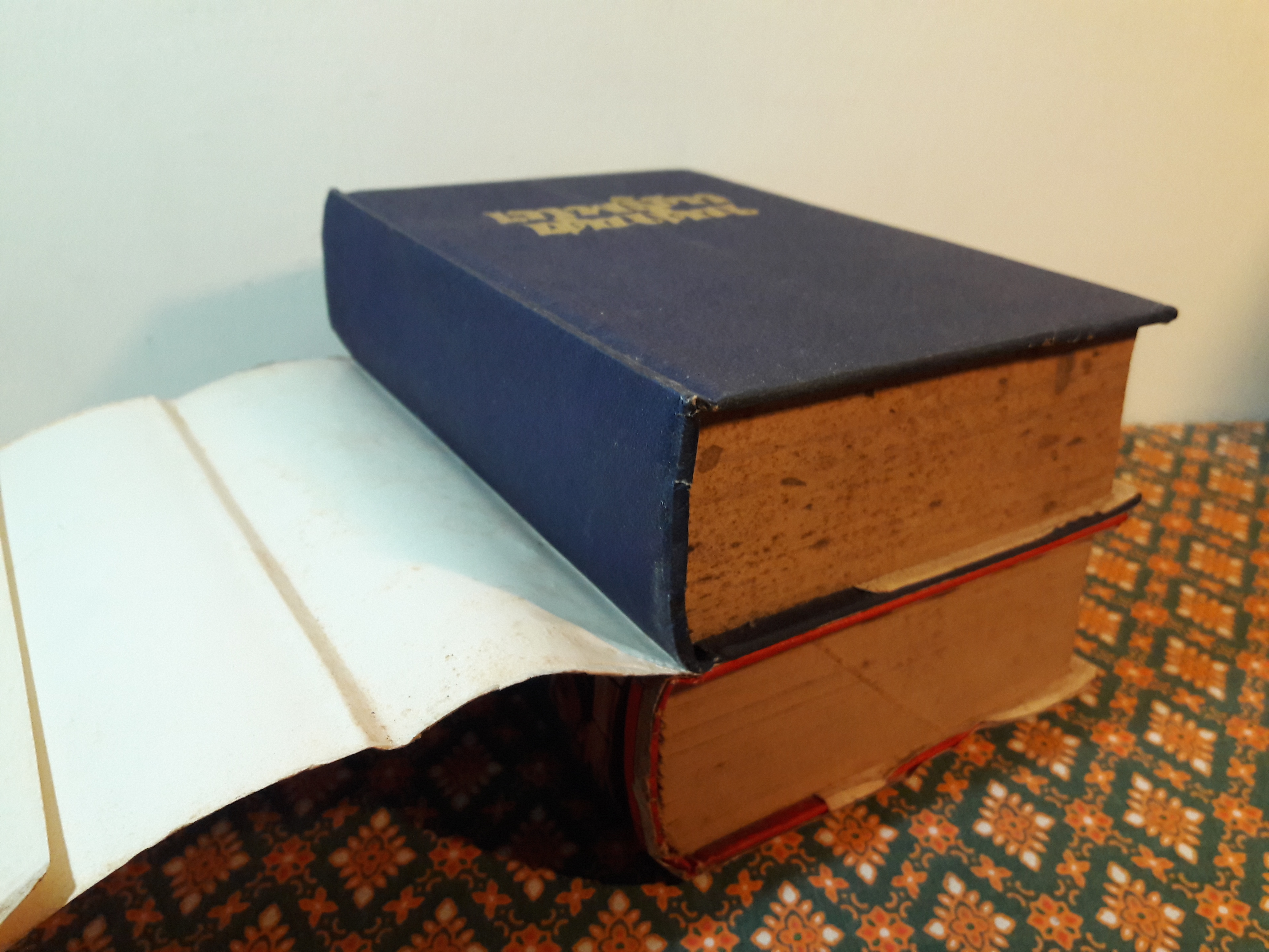 เทพธิดาเดินดิน (2 เล่มจบ)