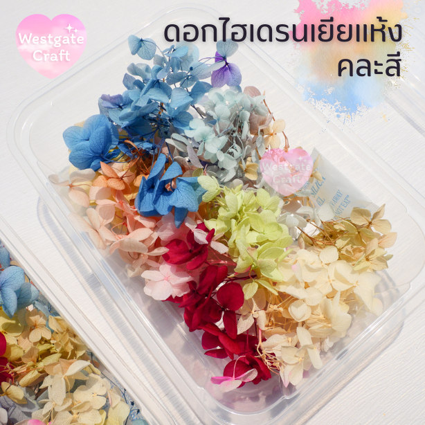 ดอกไฮเดรนเยียแห้ง แบบกล่อง คละขนาด คละสี สุ่ม