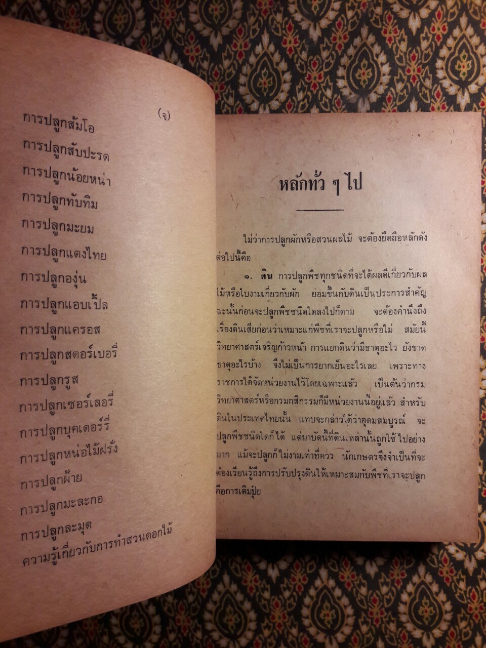 คู่มืออาชีพการเกษตรและการทำสวนผลไม้ทุกชนิด