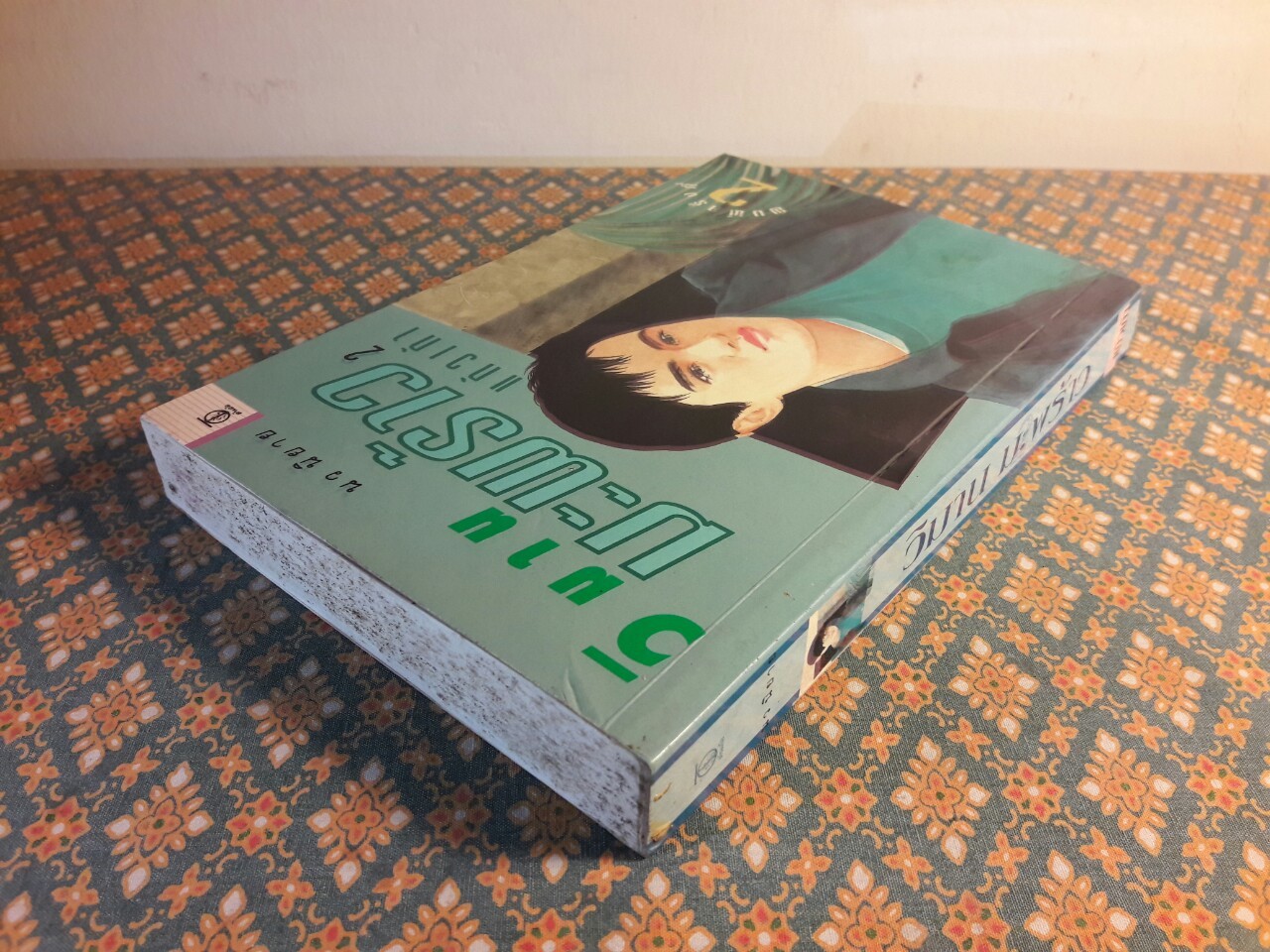 วิมานมะพร้าว (เล่ม 2)