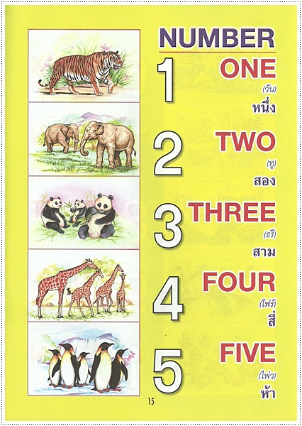 เรียนรู้ ABC (ปกเขียว)