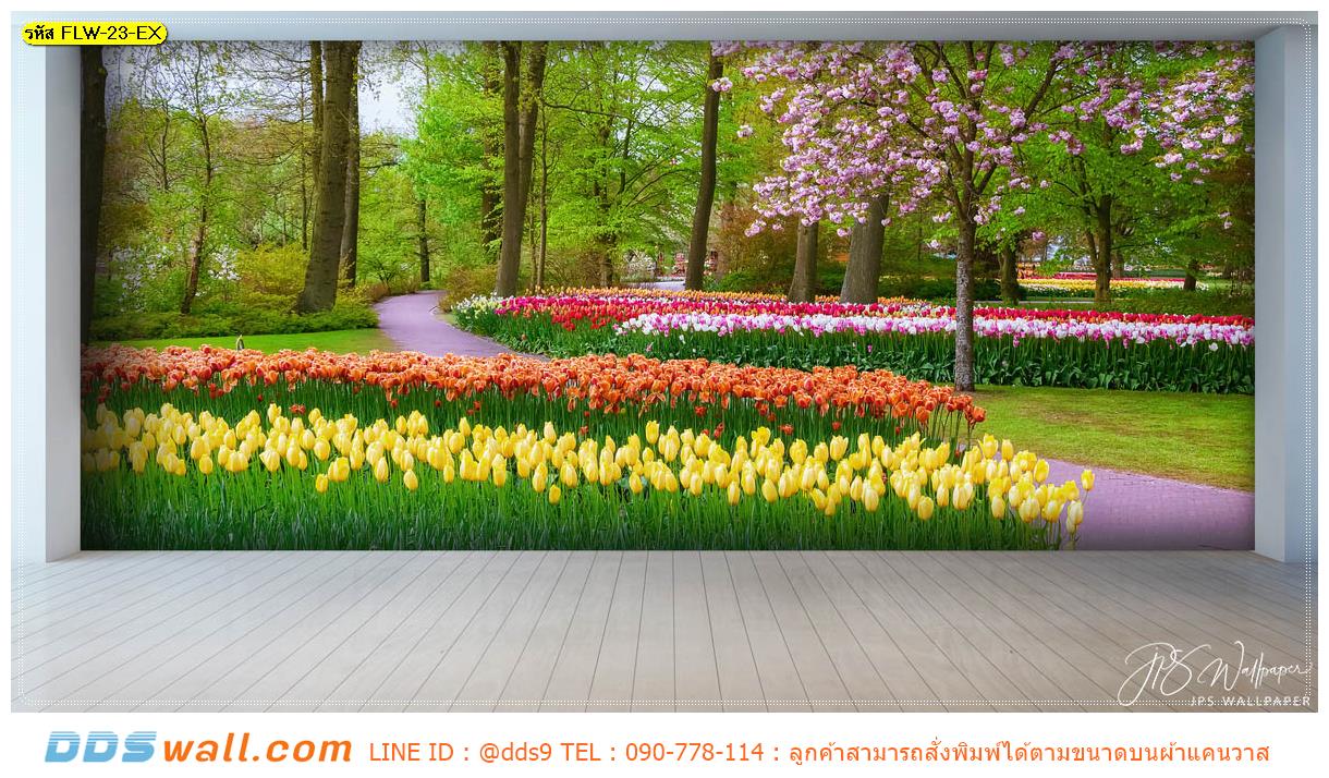 ปริ้นวอลเปเปอร์ ราคาไม่แพง ตกแต่งผนังบ้าน ลายสวนทิวลิป ให้มีสีสัน สบายตา
