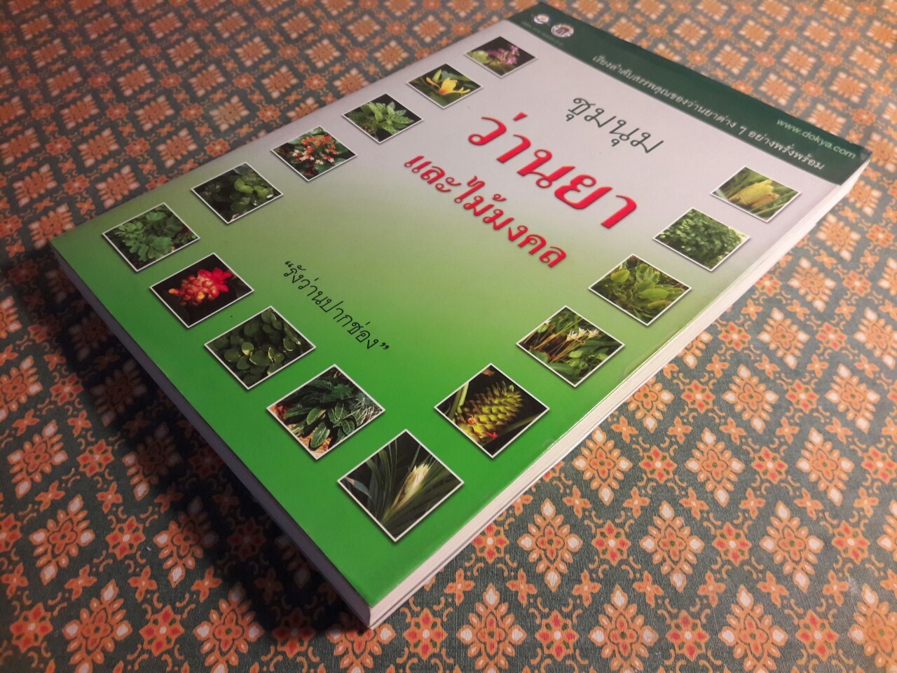 ชุมนุมว่านยาและไม้มงคล