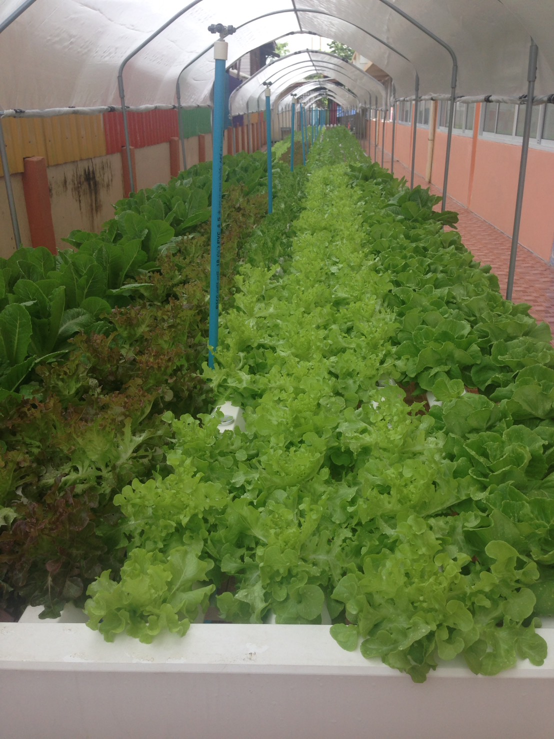 โรงเรียนวัดชมนิมิตร