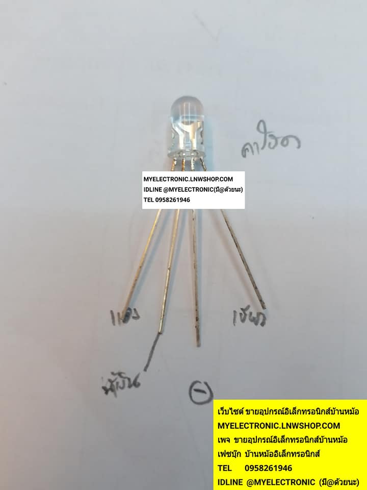 ขาย LED3สี4ขา LED5MM.3สี4ขา LED5มม.3สี4ขา คอมมอนคาโธด COMMON CATHODE LED5มม.หัวใส ราคาตัวละบาท มีหน้าร้านอยู่บ้านหม้อ กรุงเทพ ส่งของเร็ว มาซื้อหน้าร้านได้ สั่งปุ๊บส่งปั๊บ