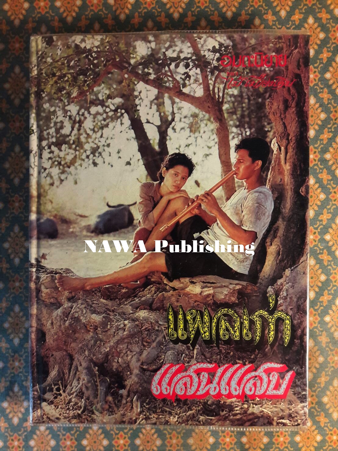 แผลเก่า แสนแสบ