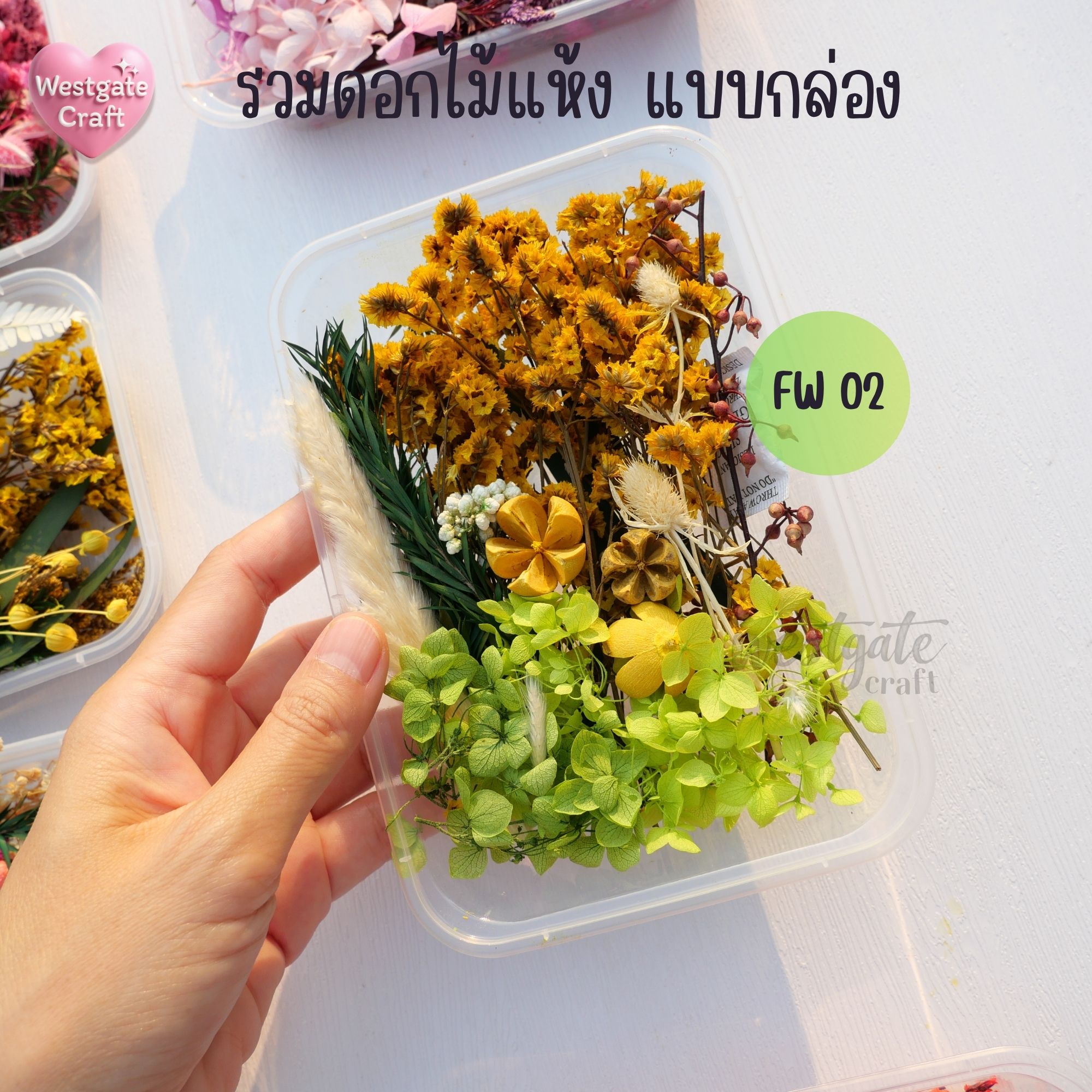 รวมดอกไม้แห้ง แบบกล่อง คละขนาด FW 01-09 , ดอกไม้แห้งจริง