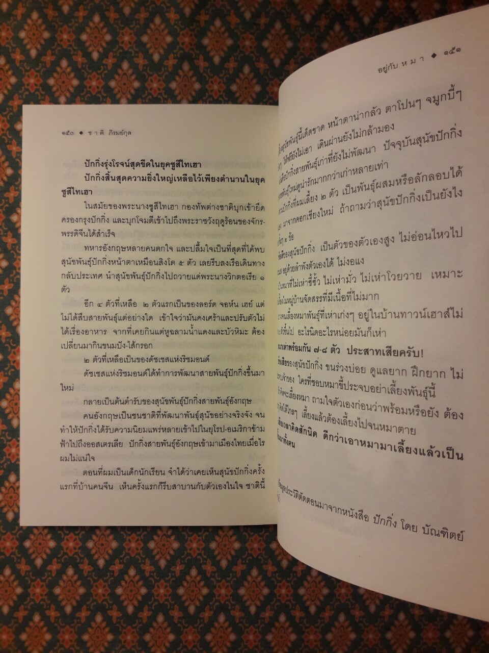 อยู่กับหมา