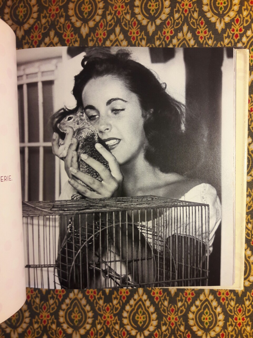 Elizabeth Taylor: A Loving Tribute