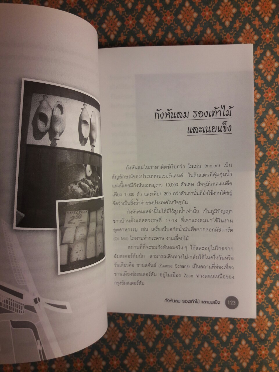 ครบเครื่องเรื่องเมืองดัชต์