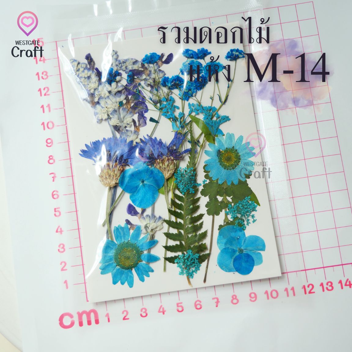 รวมดอกไม้แห้ง M ดอกไม้แห้งทับ ดอกไม้แบบคละ