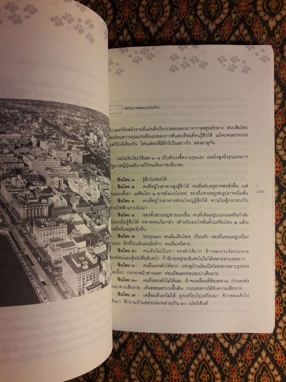 ญี่ปุ่นหลากมุม