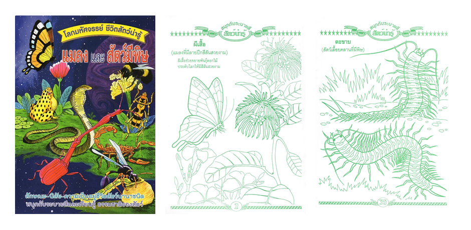 SET ระบายสี ชุดโลกมหัศจรรย์ ชีวิตสัตว์น่ารู้ (8 เล่ม)