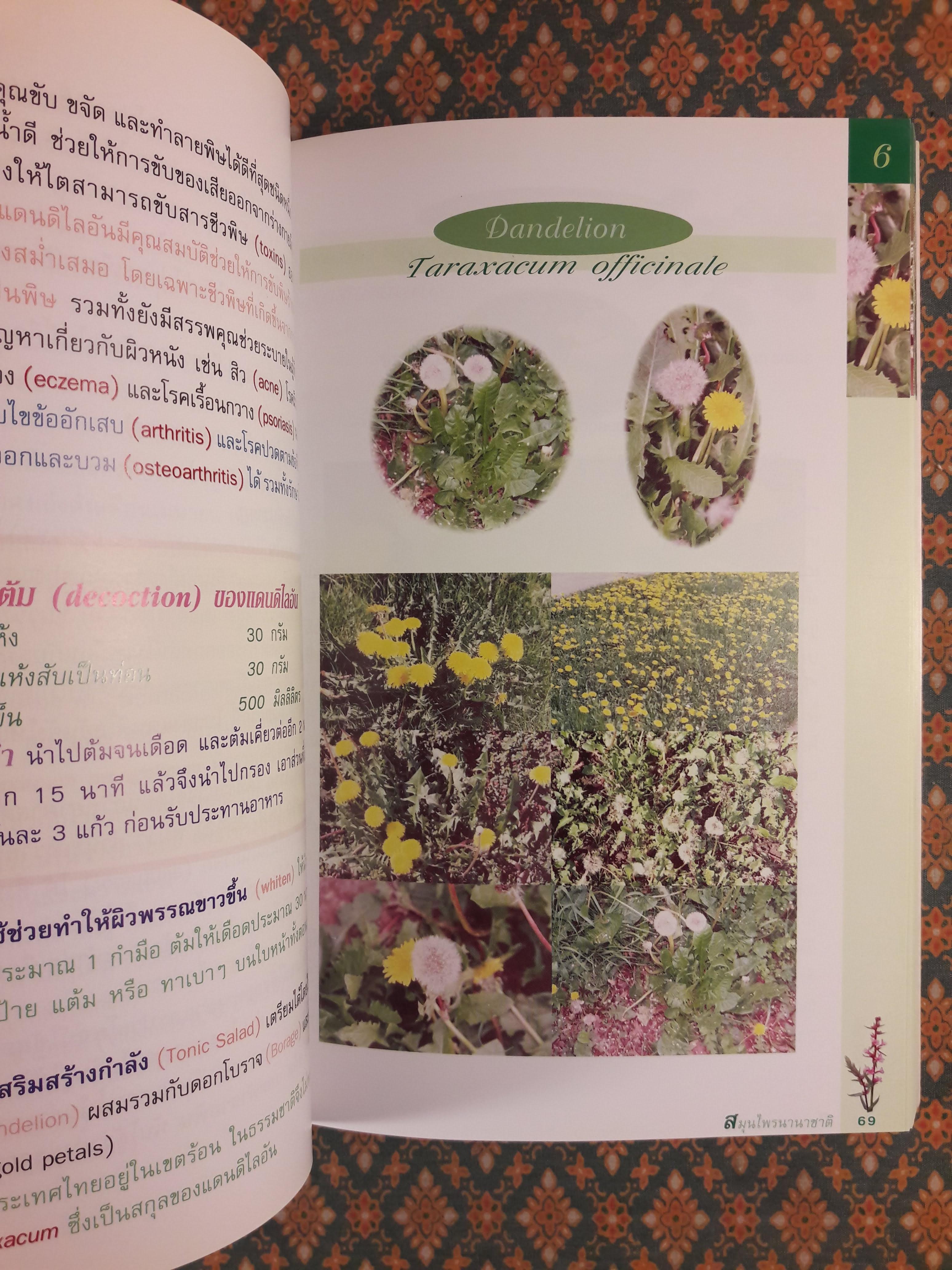สมุนไพรนานาชาติ ตอนที่ 2