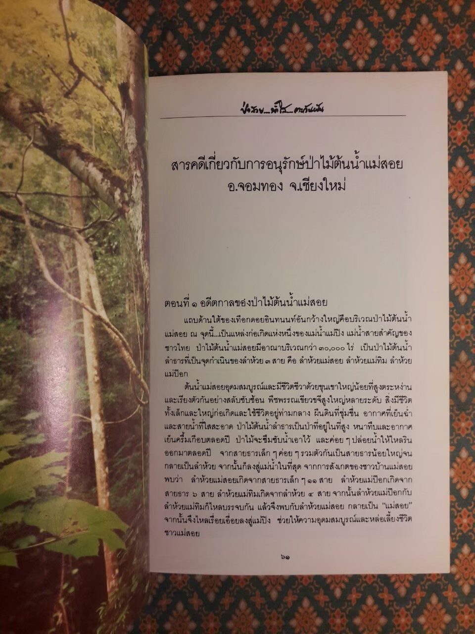 ป่าสวย น้ำใส ตะวันฝัน