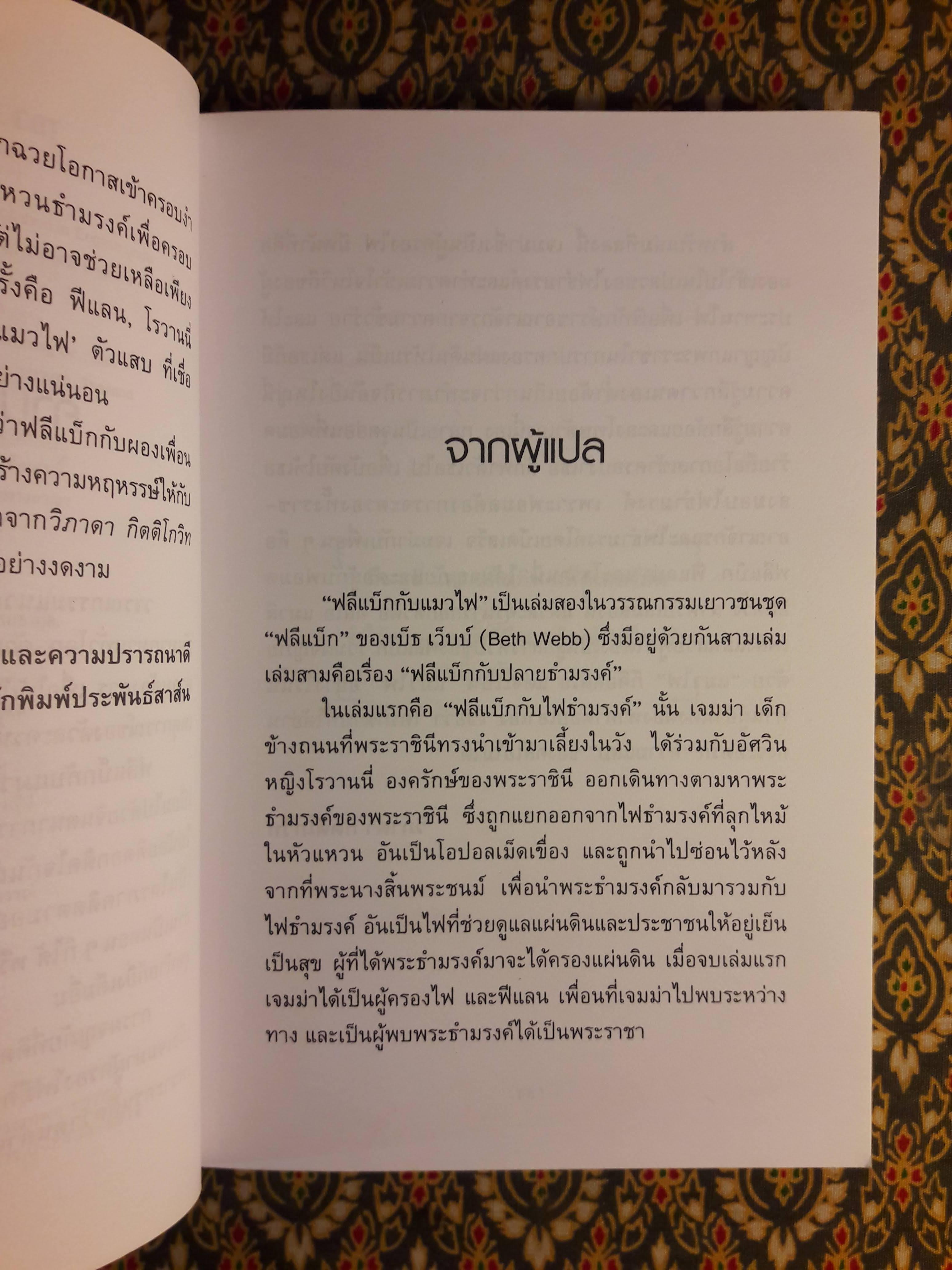 ฟลีแบ็กกับแมวไฟ FLEABAG AND THE FIRE CAT