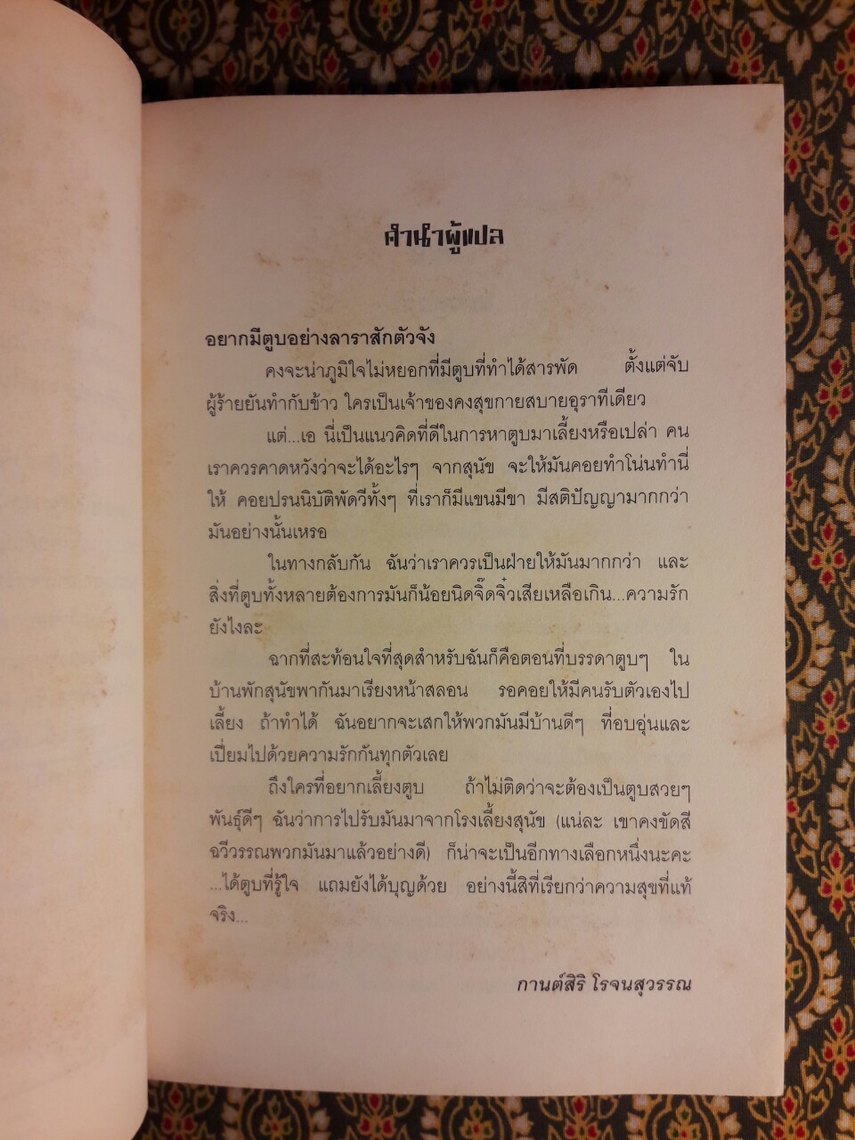 ตูบสาวยอดสายลับ