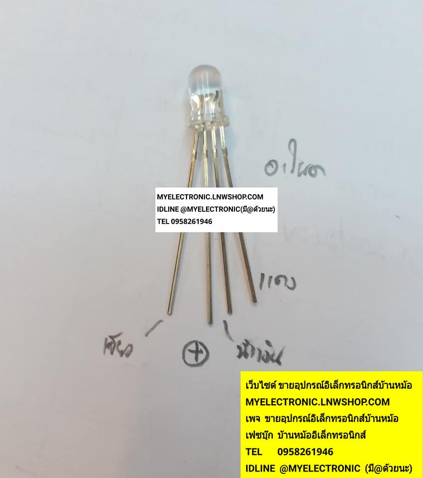 ขาย LED3สี4ขา LED5MM.3สี4ขา LED5มม.3สี4ขา คอมมอนอาโนด COMMON ANODE LED5มม.หัวใส ราคาตัวละบาท มีหน้าร้านอยู่บ้านหม้อ กรุงเทพ ส่งของเร็ว มาซื้อหน้าร้านได้ สั่งปุ๊บส่งปั๊บ