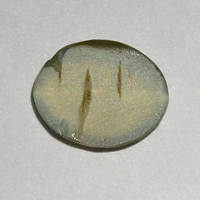 คริสโซเบริลตาแมวหรือไพฑูรย์ (Cat's eye Chrysoberyl) 0.76 กะรัต จากศรีลังกา