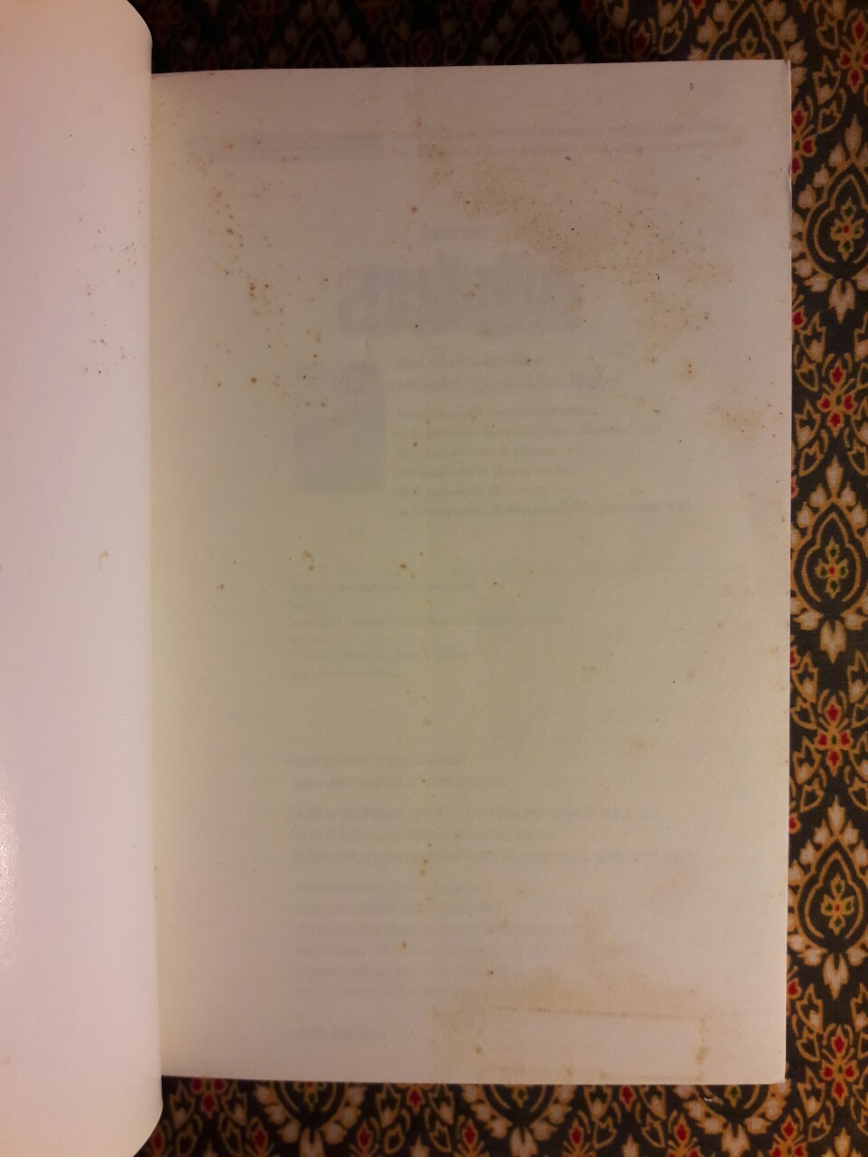 สายสัมพันธ์