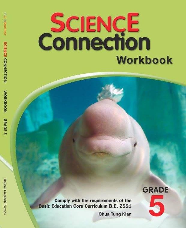 Science Connection Workbook 5