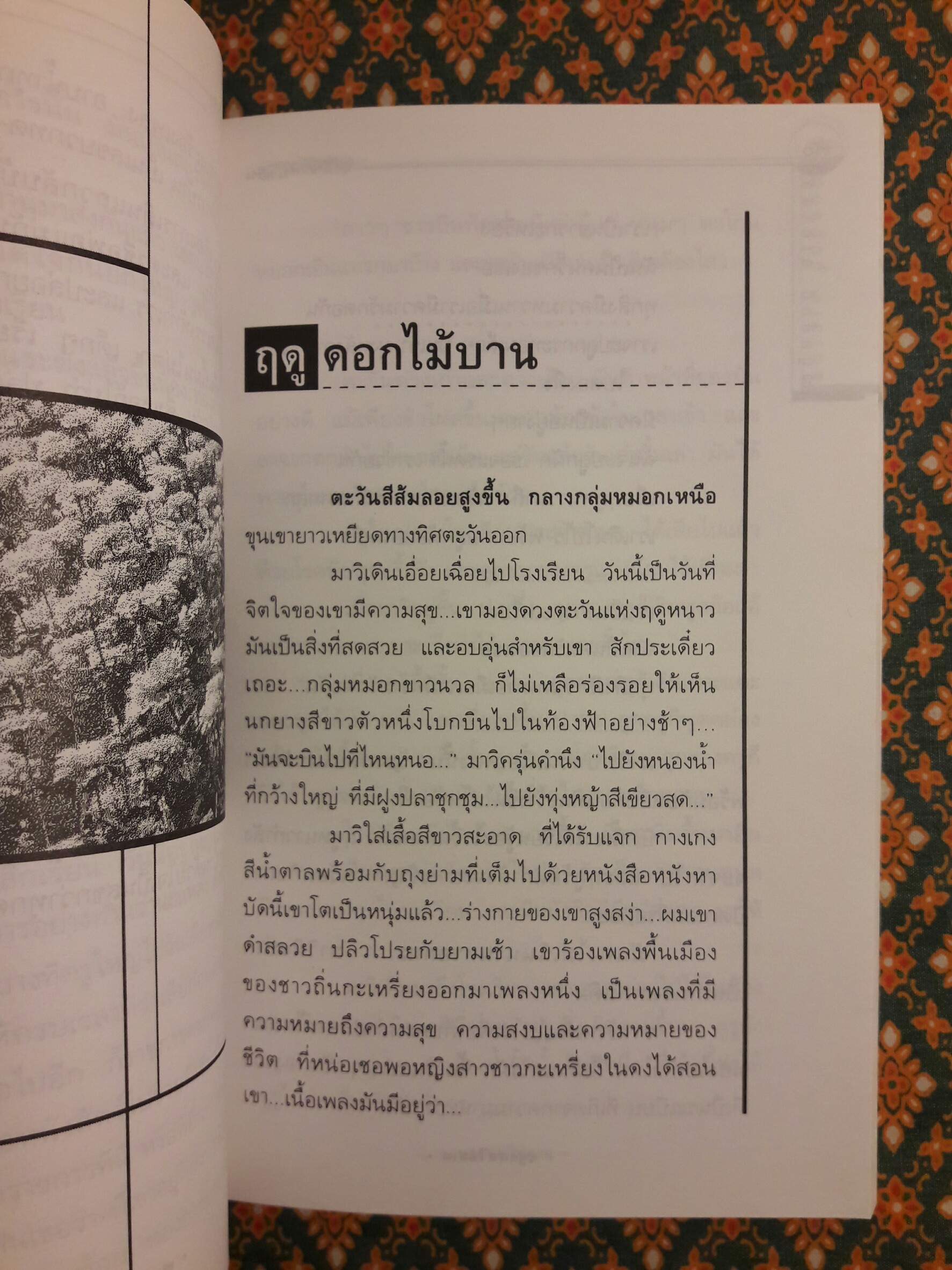 ทุ่งหญ้าสีน้ำเงิน