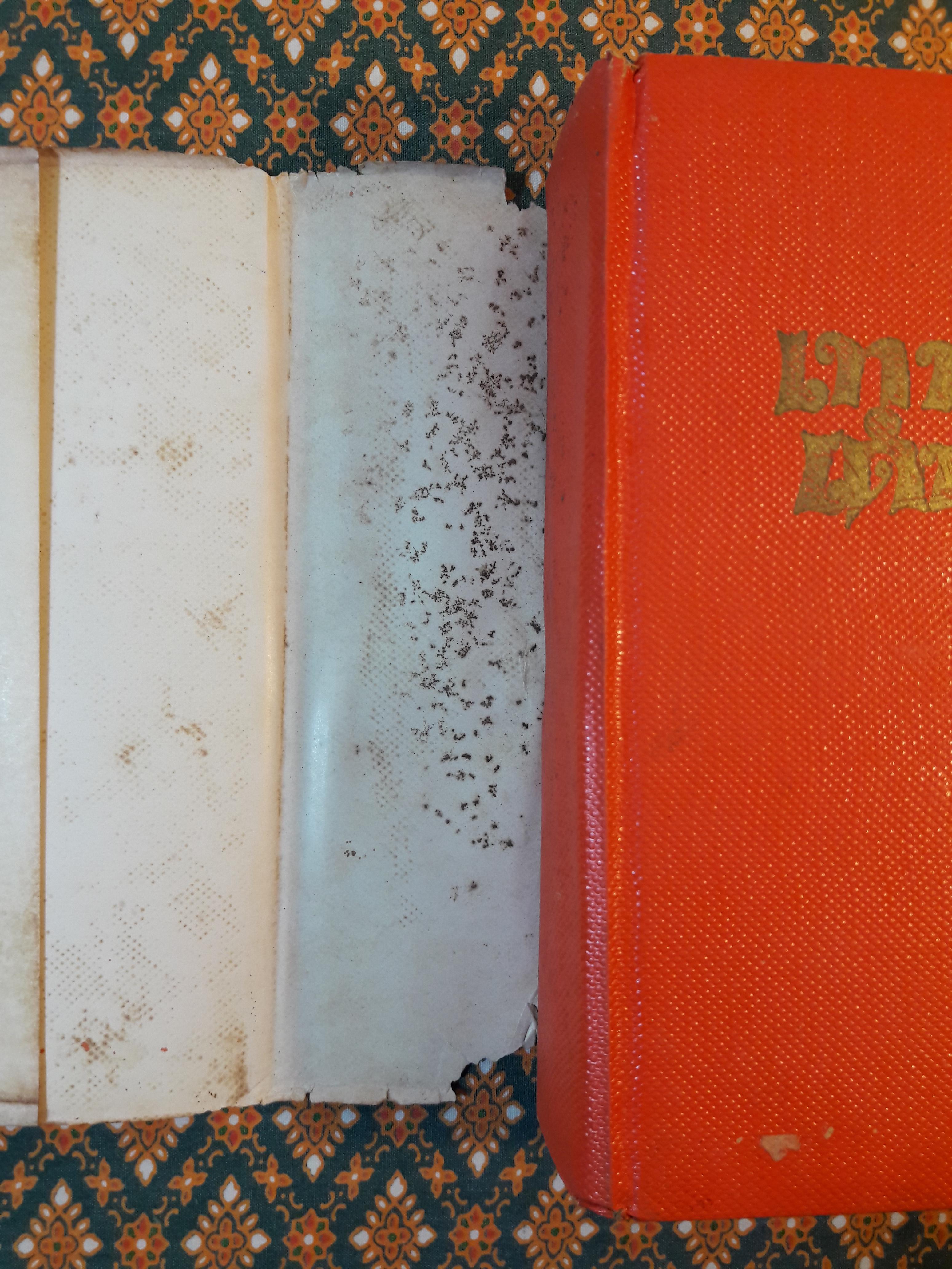 เทพธิดาเดินดิน (2 เล่มจบ)