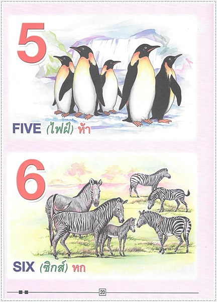 แบบหัดเรียน ABC (ปอนด์)