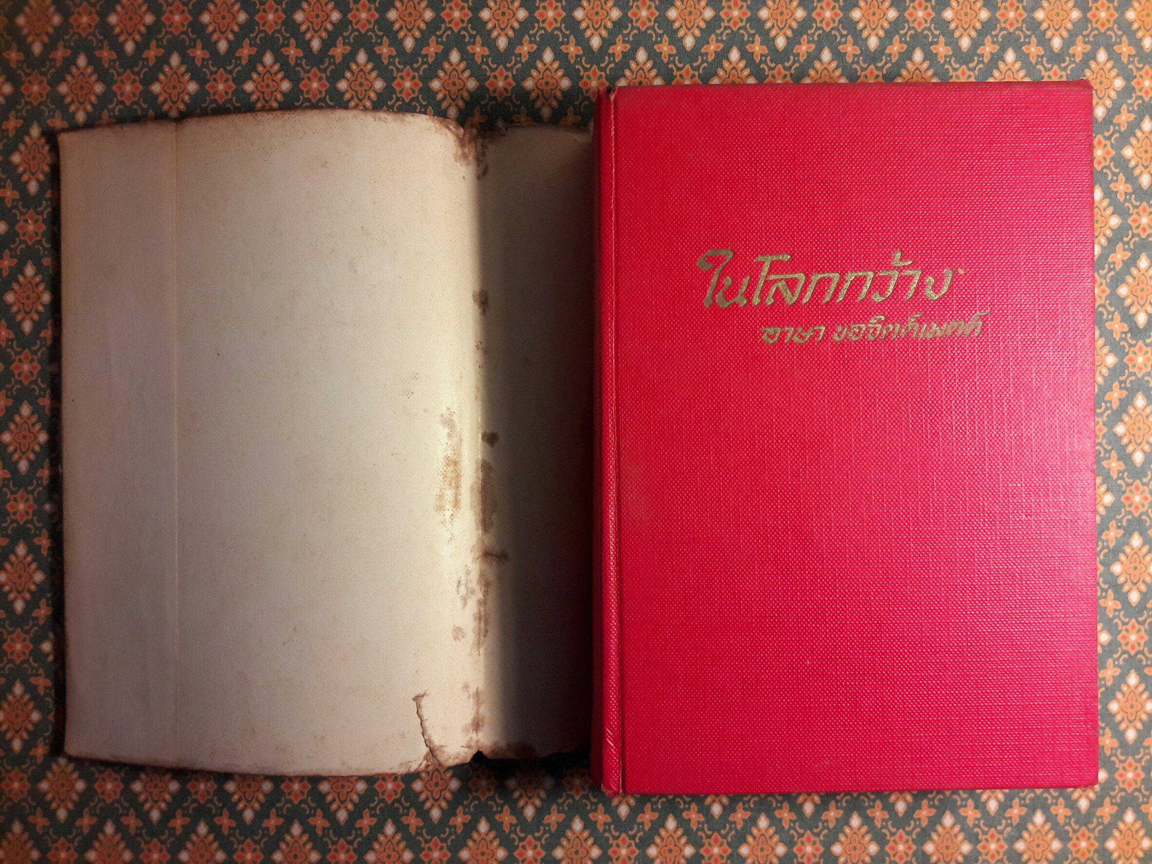 ในโลกกว้าง Out of Season