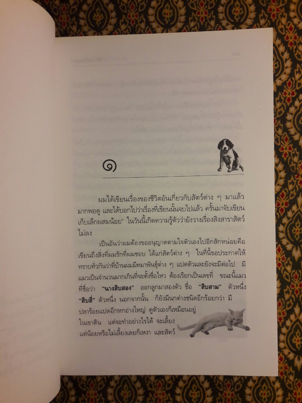 คนรักหมา